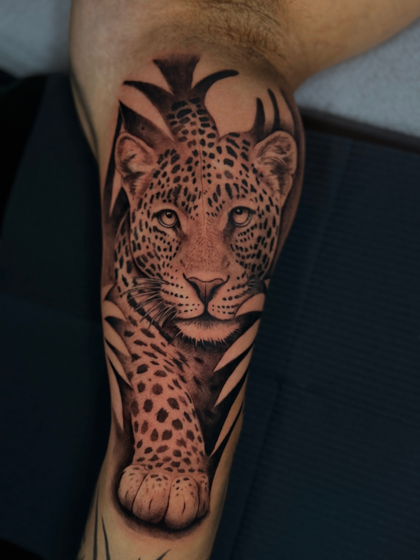 Black and grey realism leopard tattoo on the arm